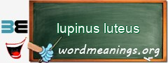 WordMeaning blackboard for lupinus luteus